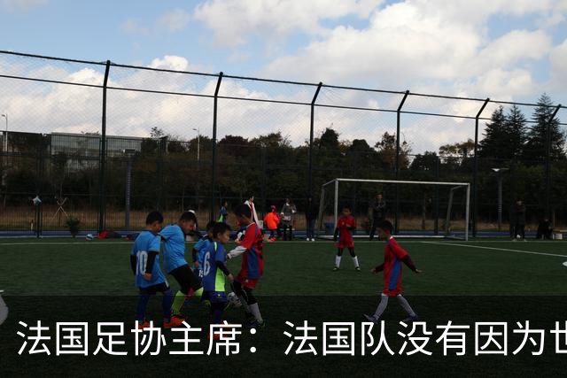 法国足协主席：法国队没有因为世界杯奖金问题而气氛紧张