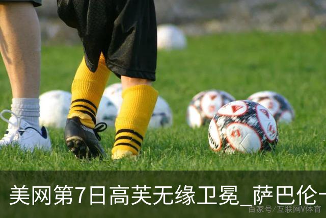 美网第7日高芙无缘卫冕 萨巴伦卡连续4年进八强